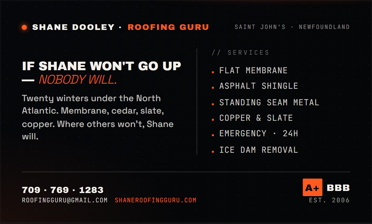 Business card mockup — SHANE DOOLEY · BACK